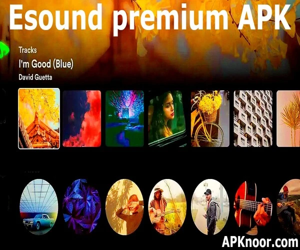 Esound Premium APK