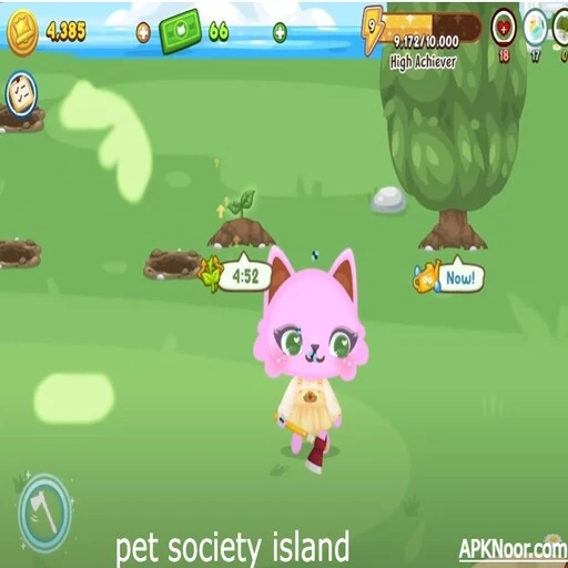 Pet Society Island